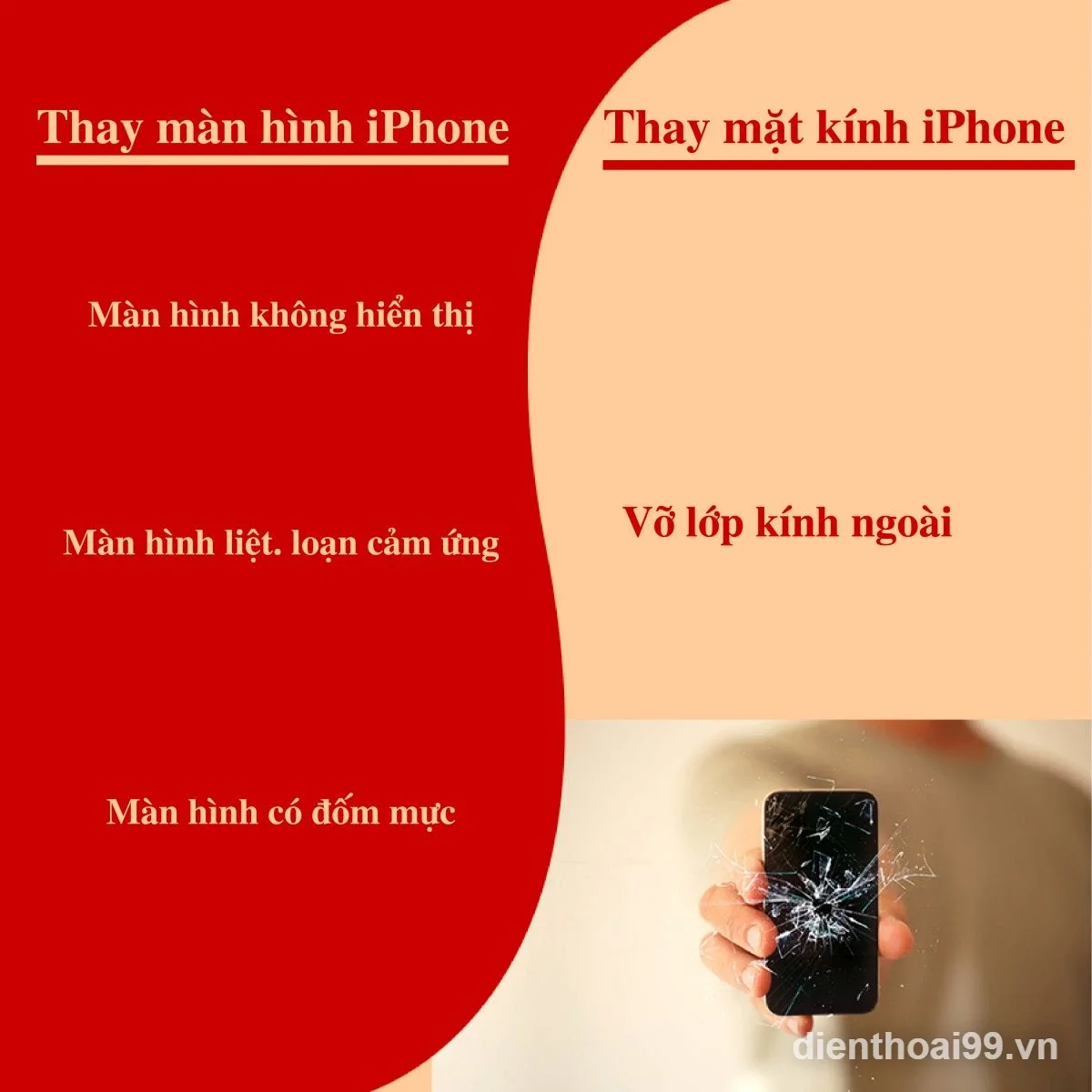 Infographic giải thích sự khác biệt thay màn hình và thay mặt kính iPhone uy tín Đà Nẵng