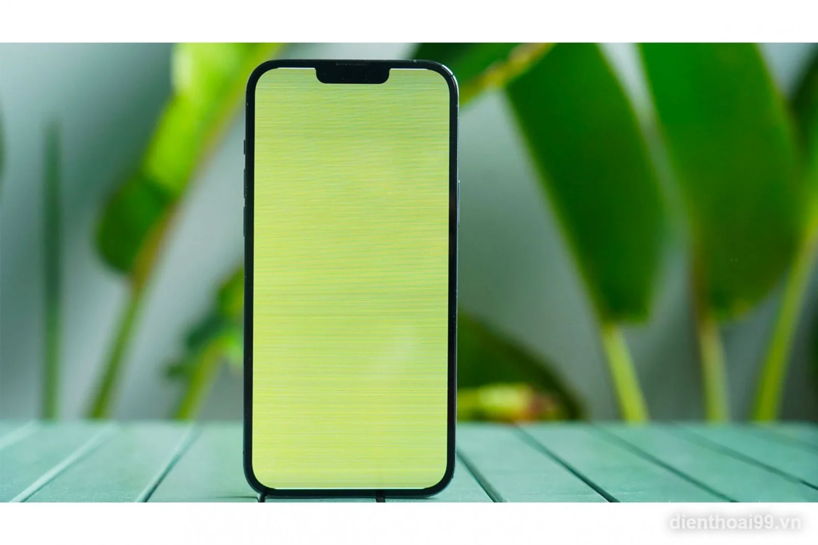 Thay màn hình iPhone Pro Max bị xanh sọc ngang lấy ngay tại Điện Thoại 99 Đà Nẵng